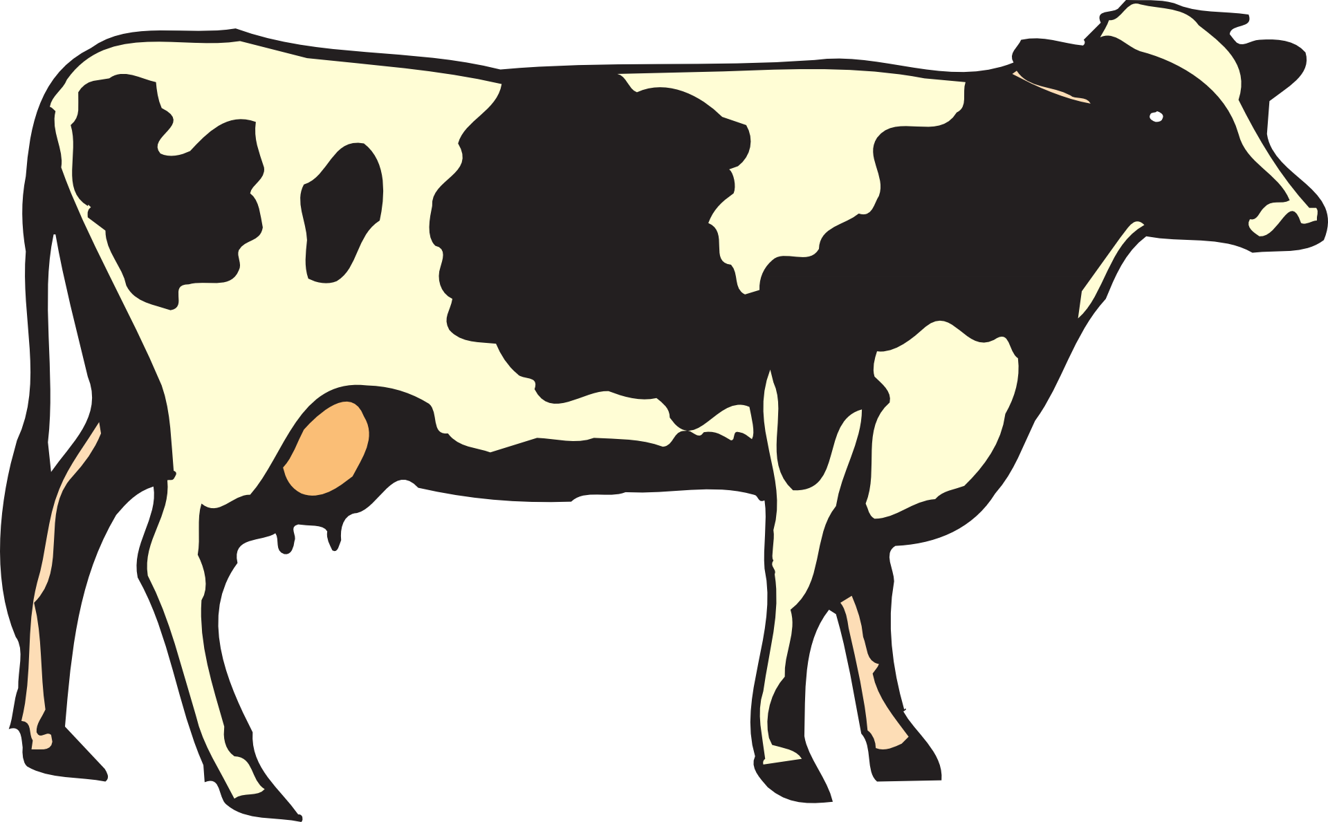 Download Cow With World Map Nomer 2