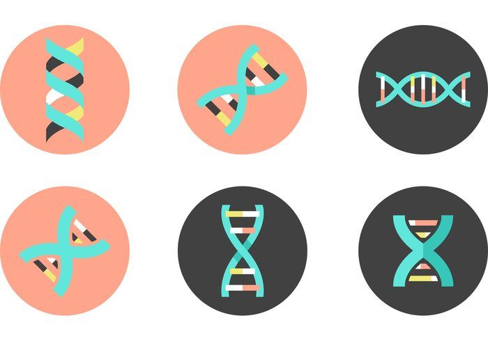 Detail Dna Helix Icon Nomer 14