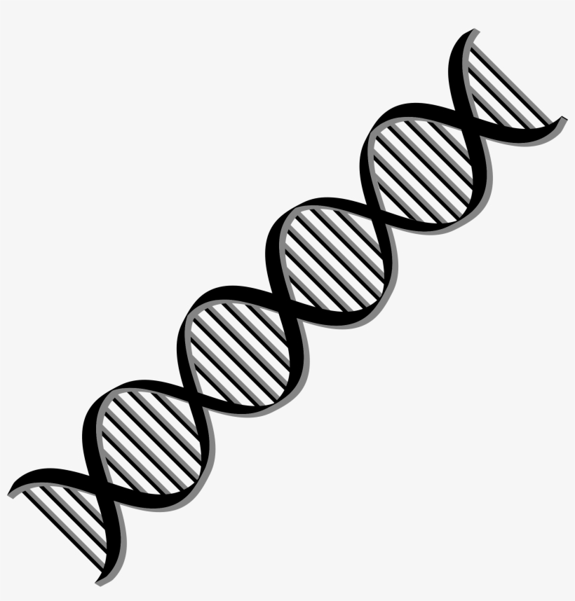 Detail Dna Helix Icon Nomer 19