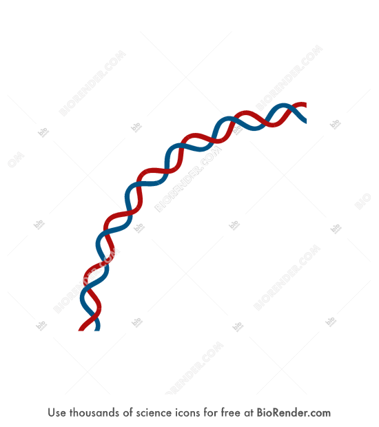 Detail Dna Helix Icon Nomer 25