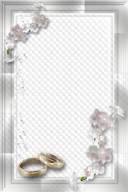 Detail Frame Png Wedding Nomer 30