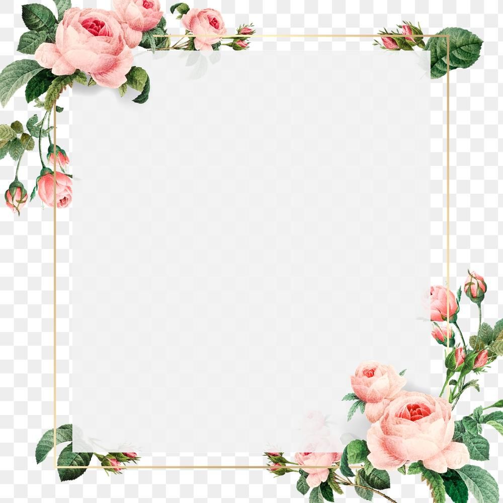 Detail Frame Rose Png Nomer 16