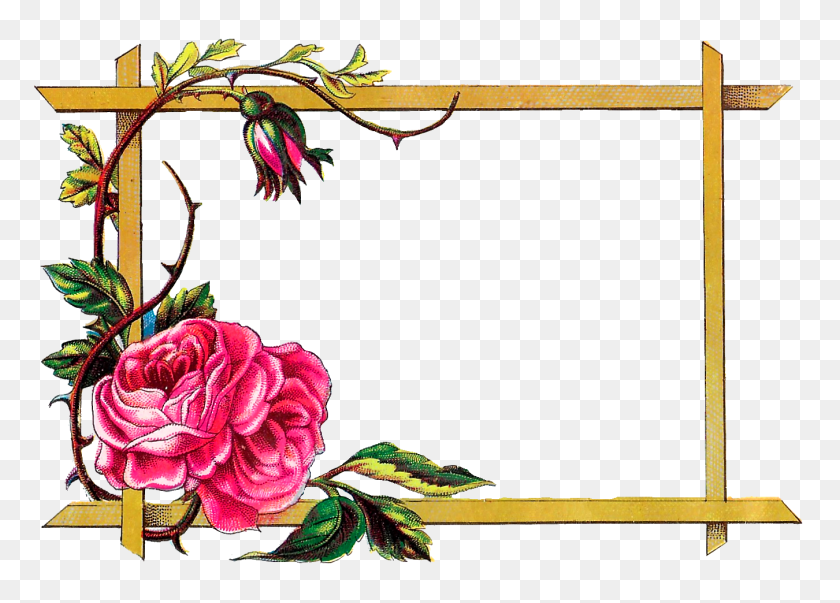 Detail Frame Rose Png Nomer 30