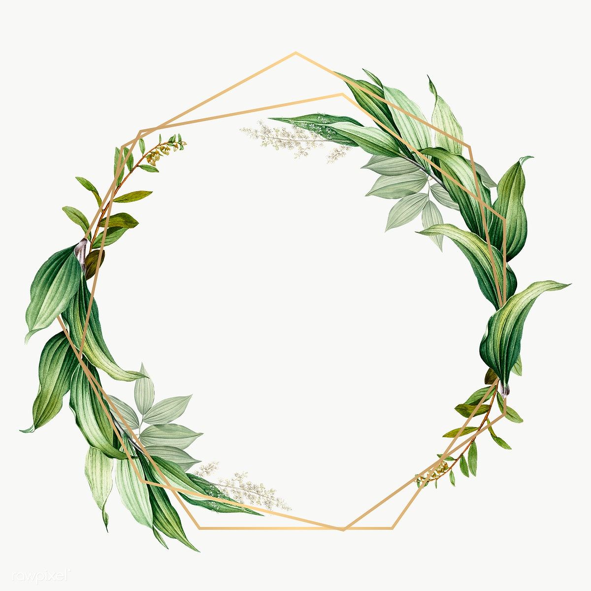 Detail Frame Transparent Background Nomer 12