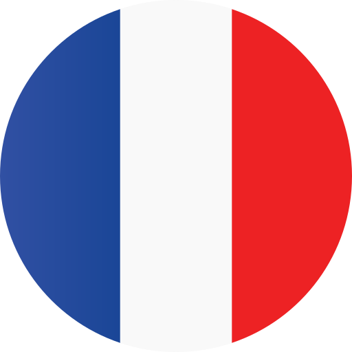 Detail France Flag Png Nomer 17