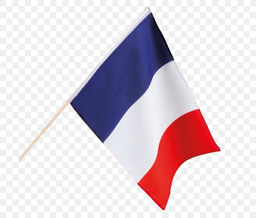 Detail France Flag Png Nomer 47