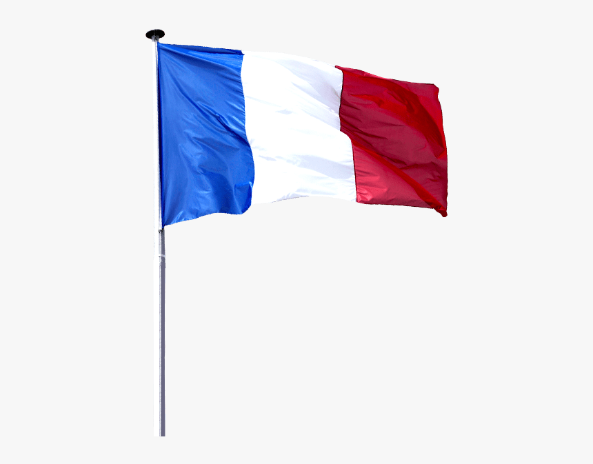 Detail France Flag Png Nomer 8