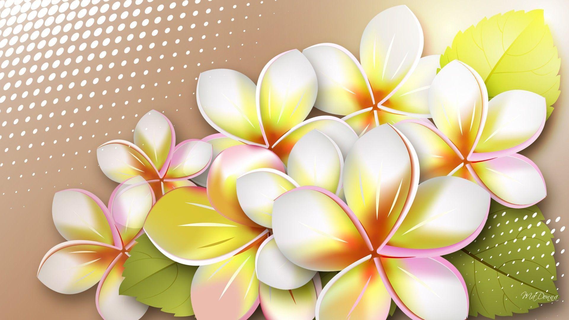 Detail Frangipani Wallpaper Nomer 35