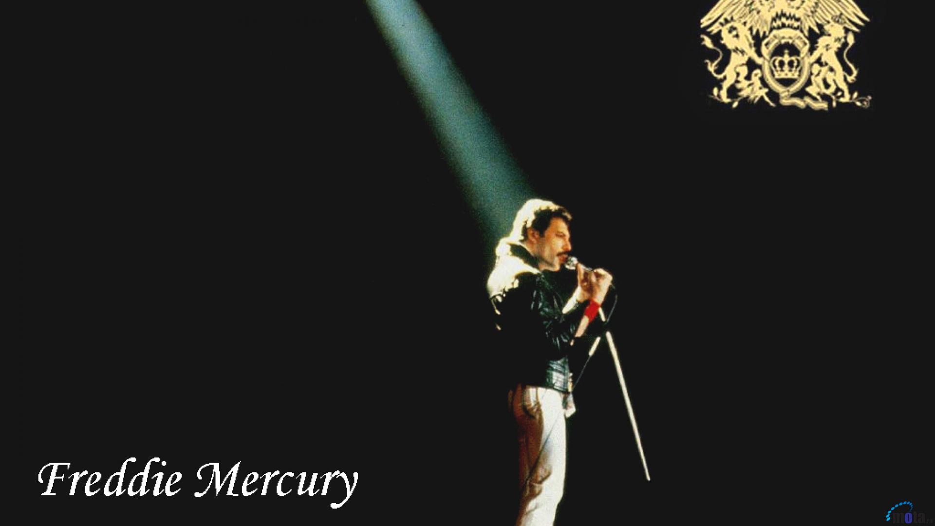 Detail Freddie Mercury Hd Nomer 47