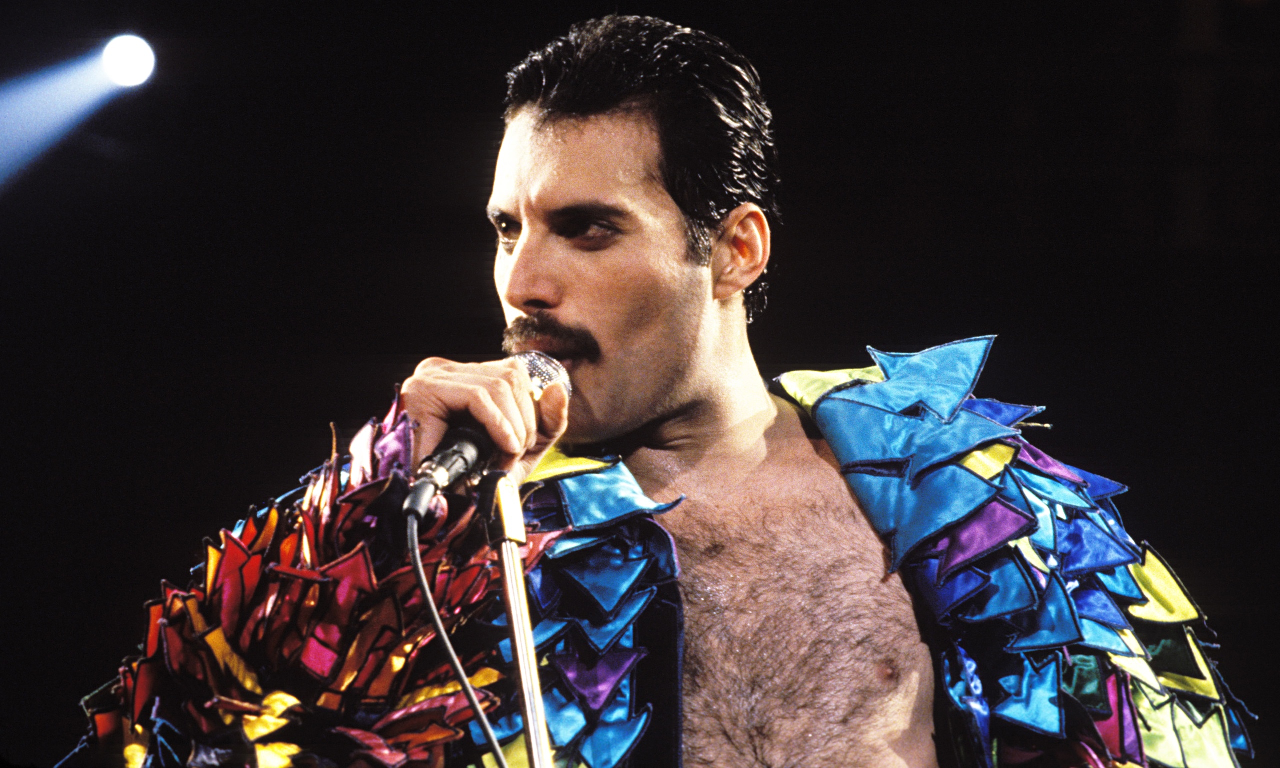Detail Freddie Mercury Hd Nomer 6