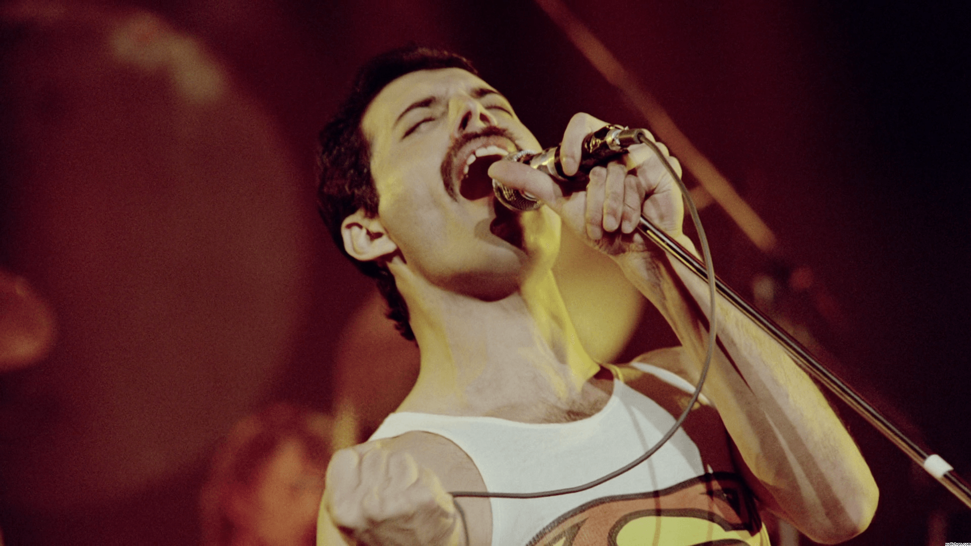 Detail Freddie Mercury Hd Nomer 50
