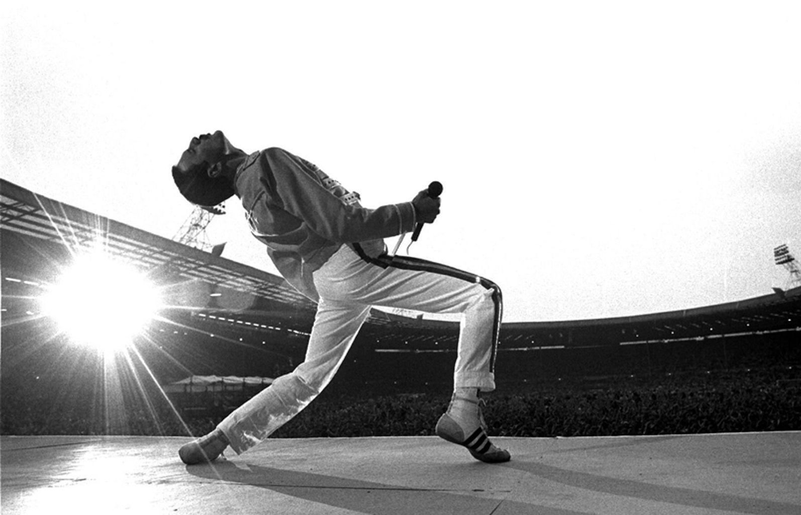 Detail Freddie Mercury Wallpaper Nomer 5