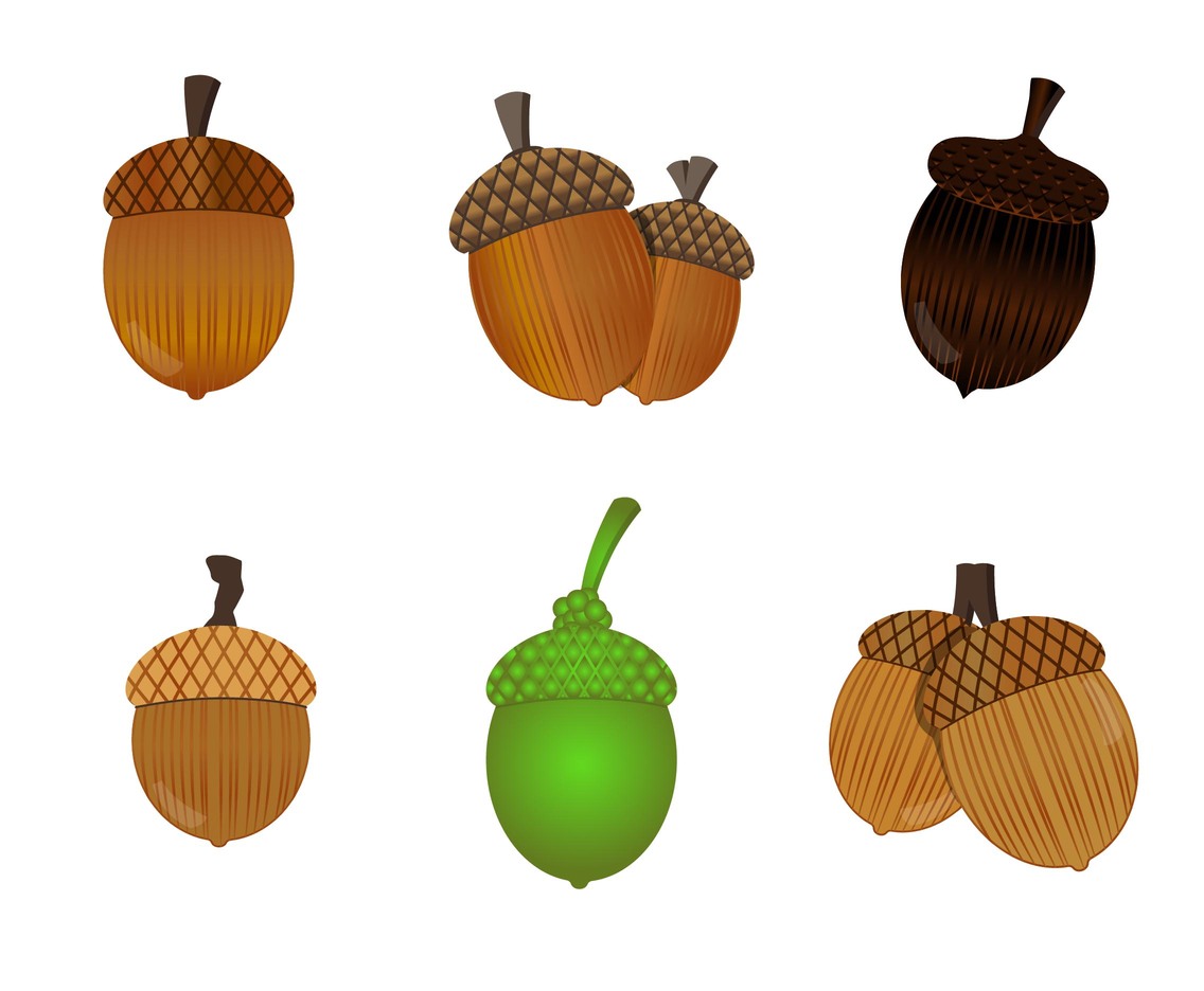 Detail Free Acorn Images Nomer 6