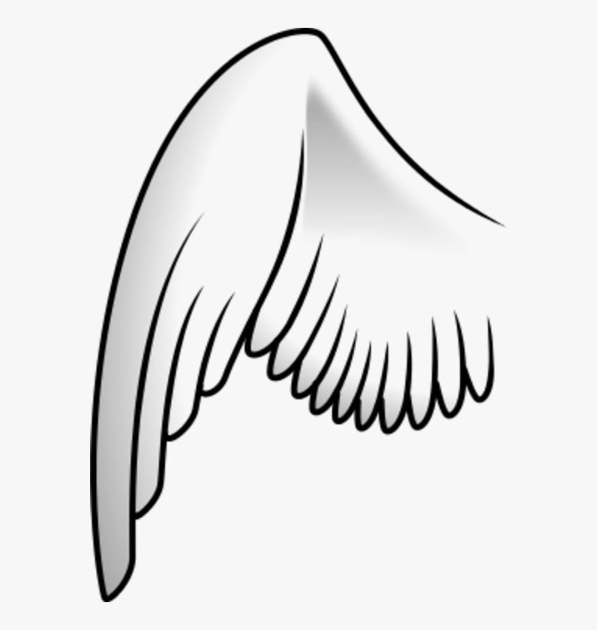 Detail Free Angel Wing Clipart Nomer 42