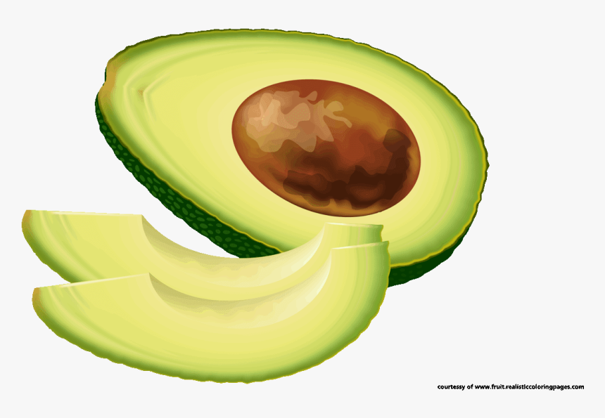 Detail Free Avocado Clipart Nomer 26