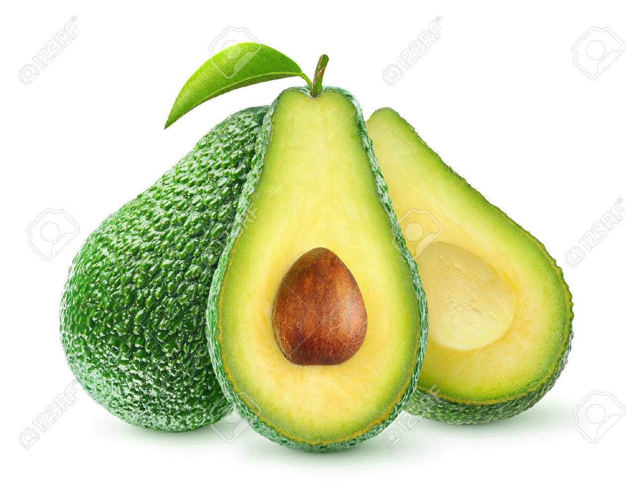 Detail Free Avocado Pictures Nomer 27