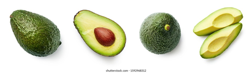 Detail Free Avocado Pictures Nomer 52