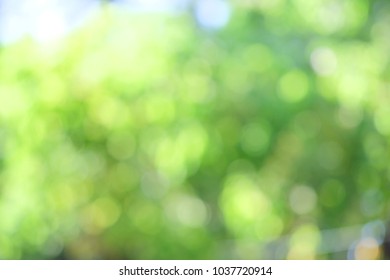 Detail Free Background Pic Nomer 11