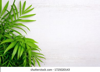 Detail Free Background Pic Nomer 7