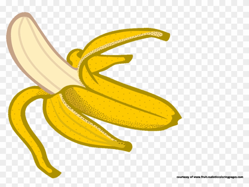 Detail Free Banana Clipart Nomer 30