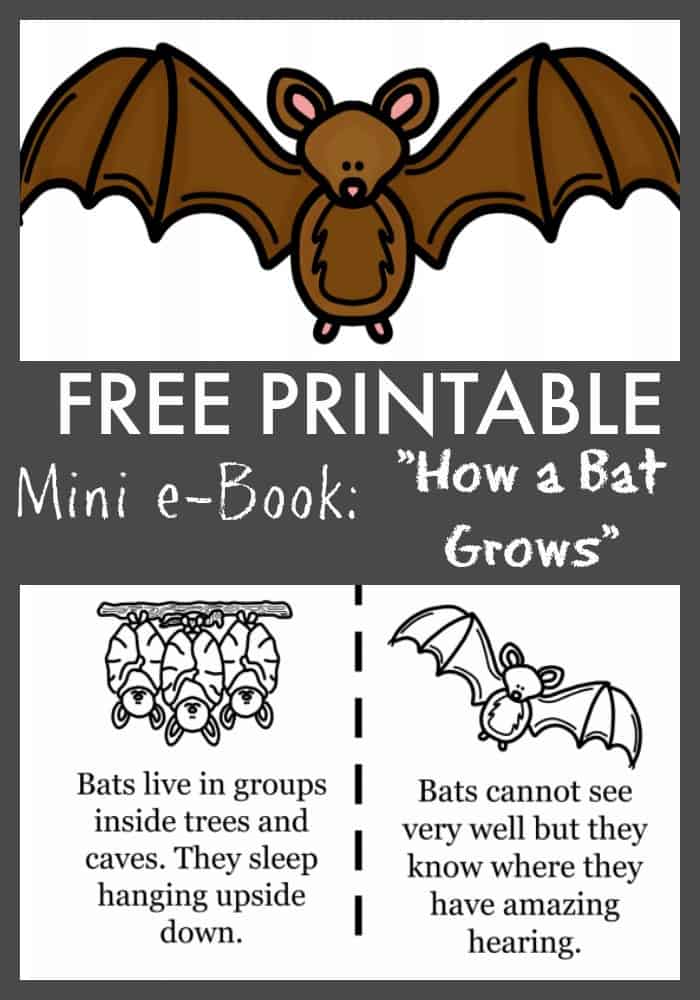 Detail Free Bat Images Nomer 40