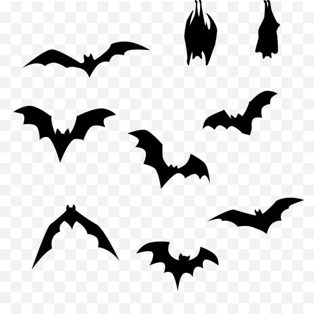 Detail Free Bat Vector Nomer 11