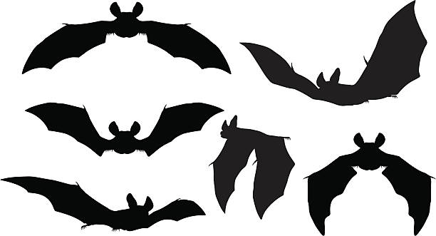 Detail Free Bat Vector Nomer 24