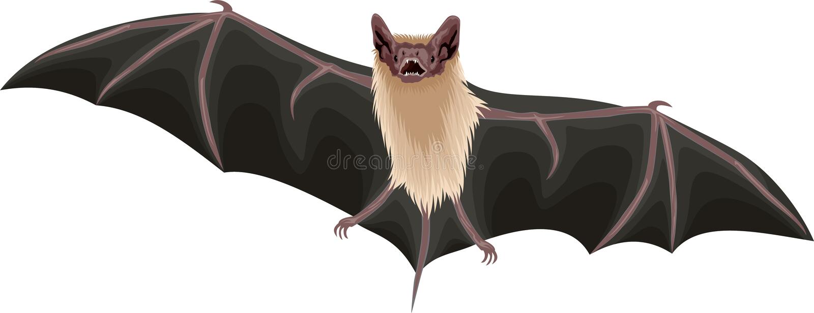 Detail Free Bat Vector Nomer 40