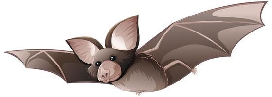 Detail Free Bat Vector Nomer 51