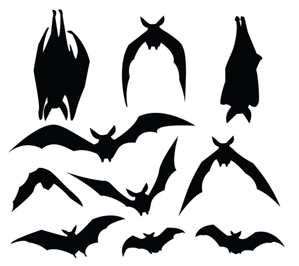 Detail Free Bat Vector Nomer 53