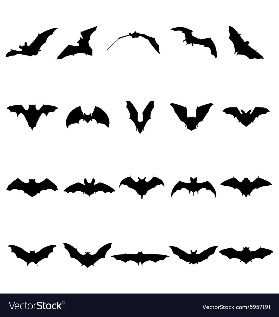 Detail Free Bat Vector Nomer 10