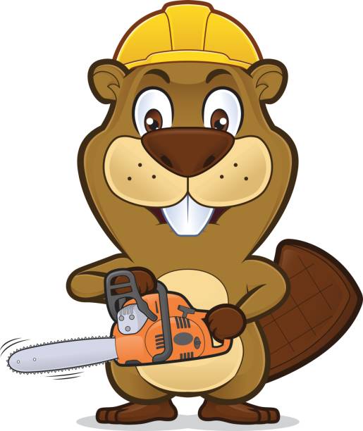 Detail Free Beaver Clip Art Nomer 33