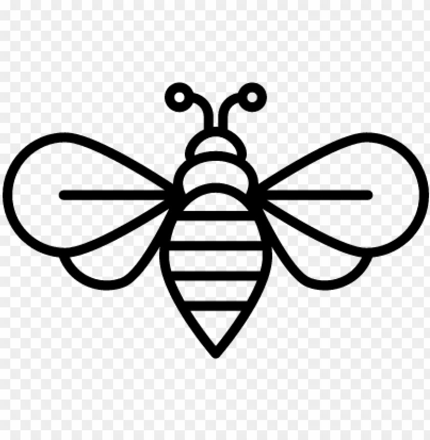 Detail Free Bee Image Nomer 48