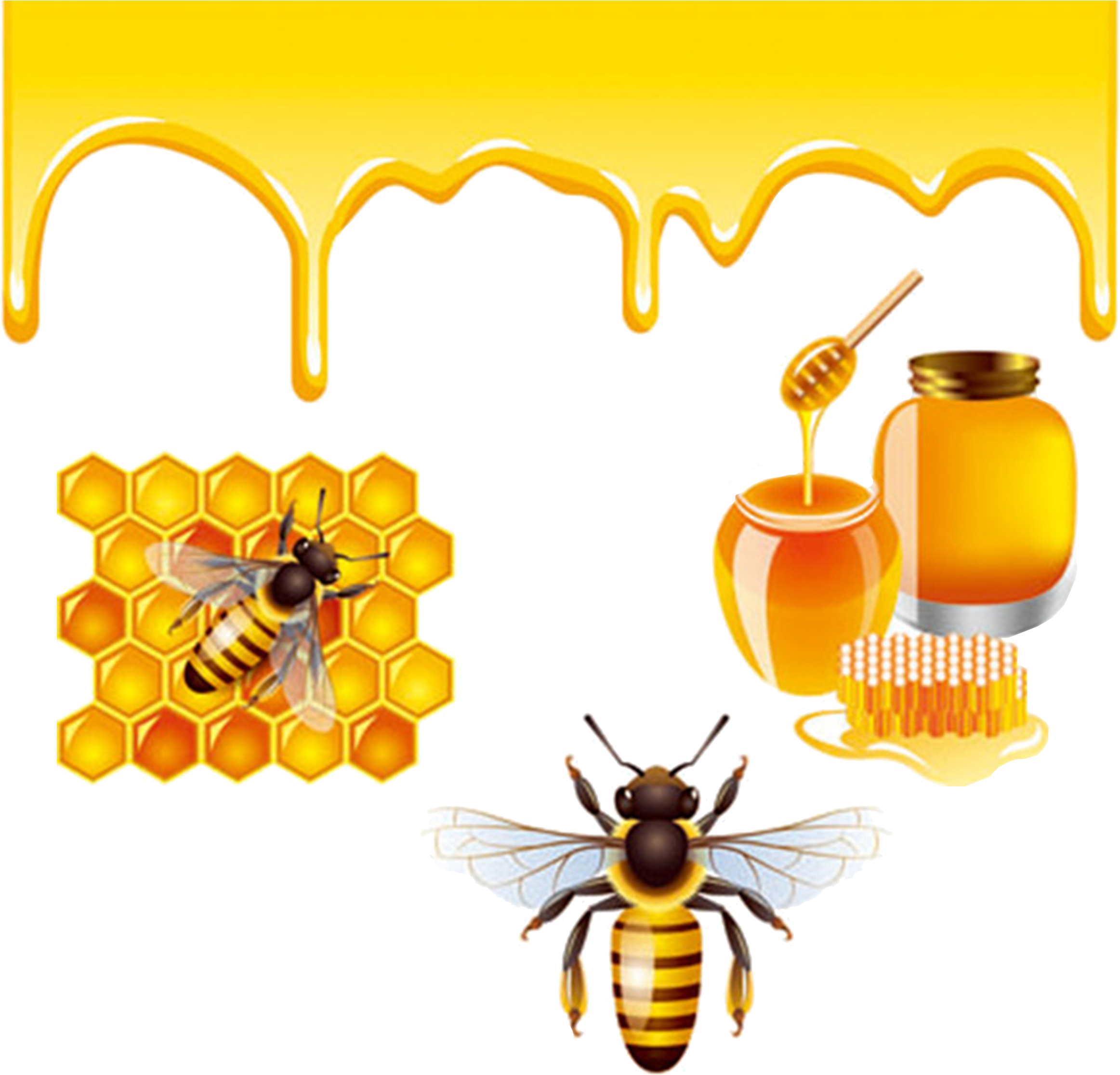 Detail Free Bee Png Nomer 33