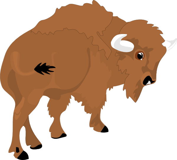 Detail Free Bison Clip Art Nomer 15