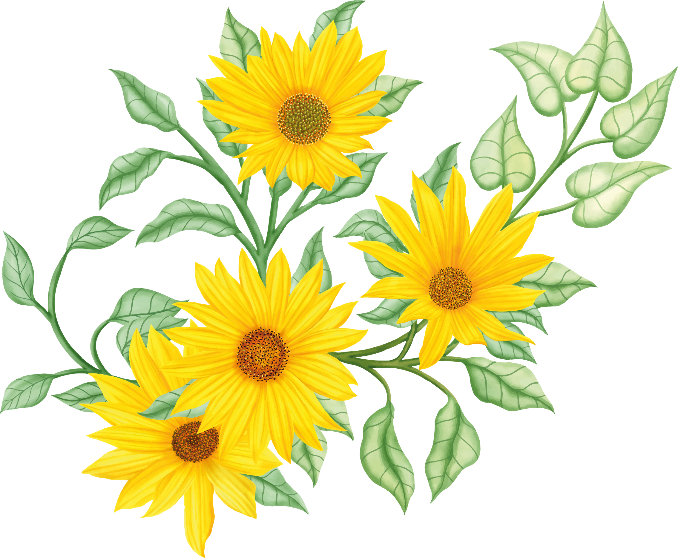 Detail Sonnenblume Gemalt Nomer 16