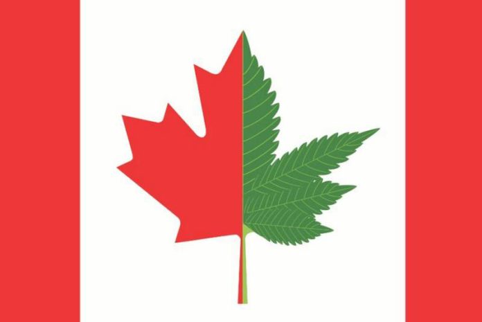 Detail Weed Flag Canada Nomer 15