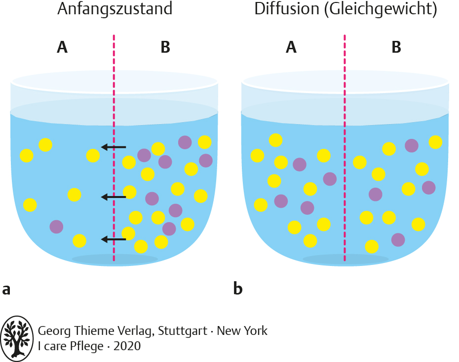 Detail Bilddatenbank Medizin Nomer 23