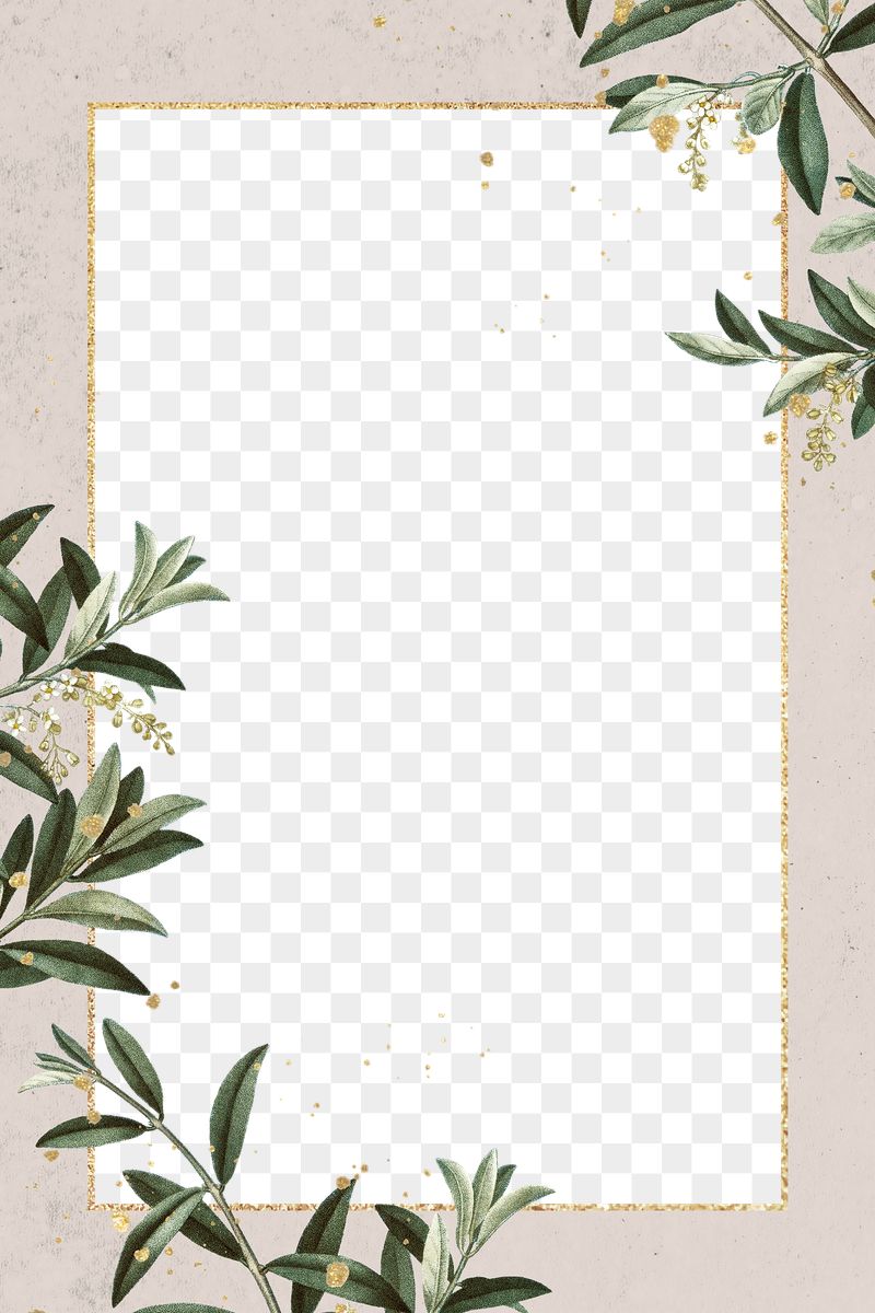 Detail Free Border Png Nomer 31