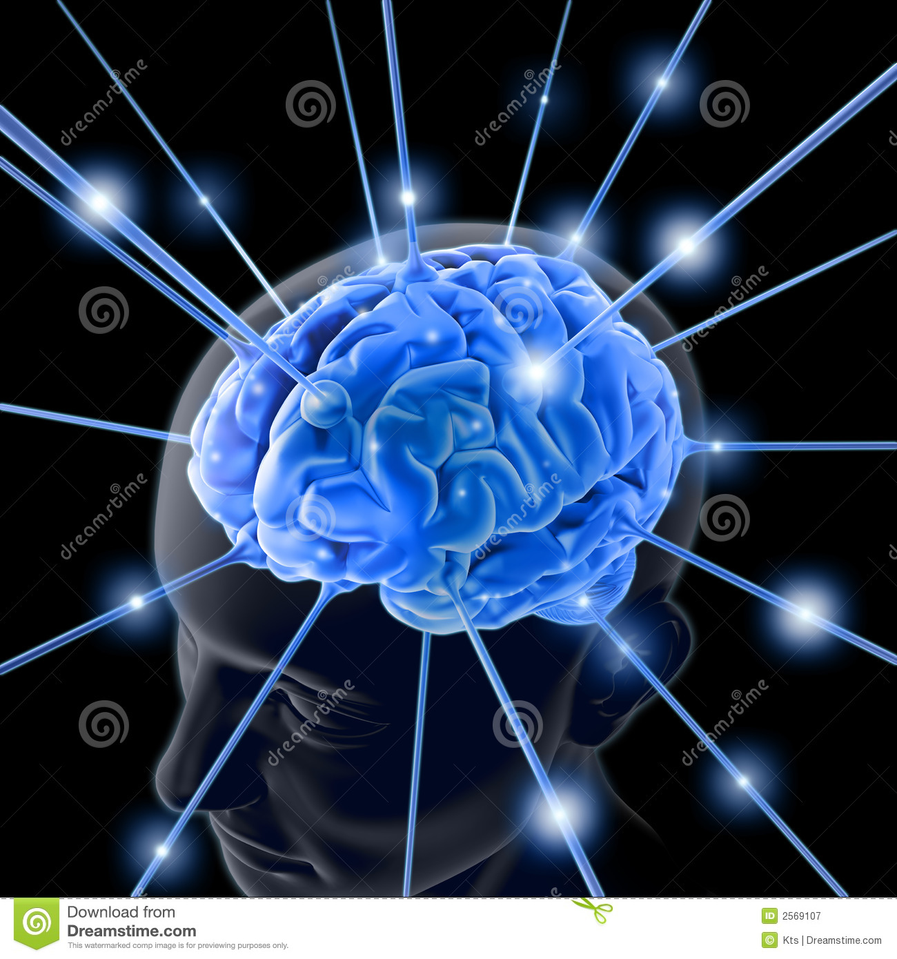 Detail Free Brain Images Nomer 21