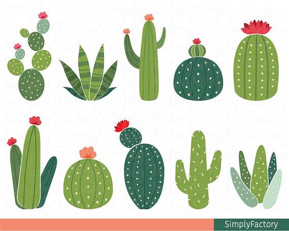 Detail Free Cactus Clip Art Nomer 33