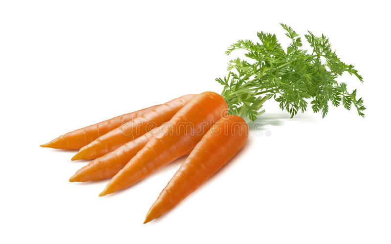 Detail Free Carrot Images Nomer 2