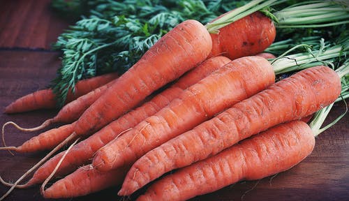 Detail Free Carrot Images Nomer 14