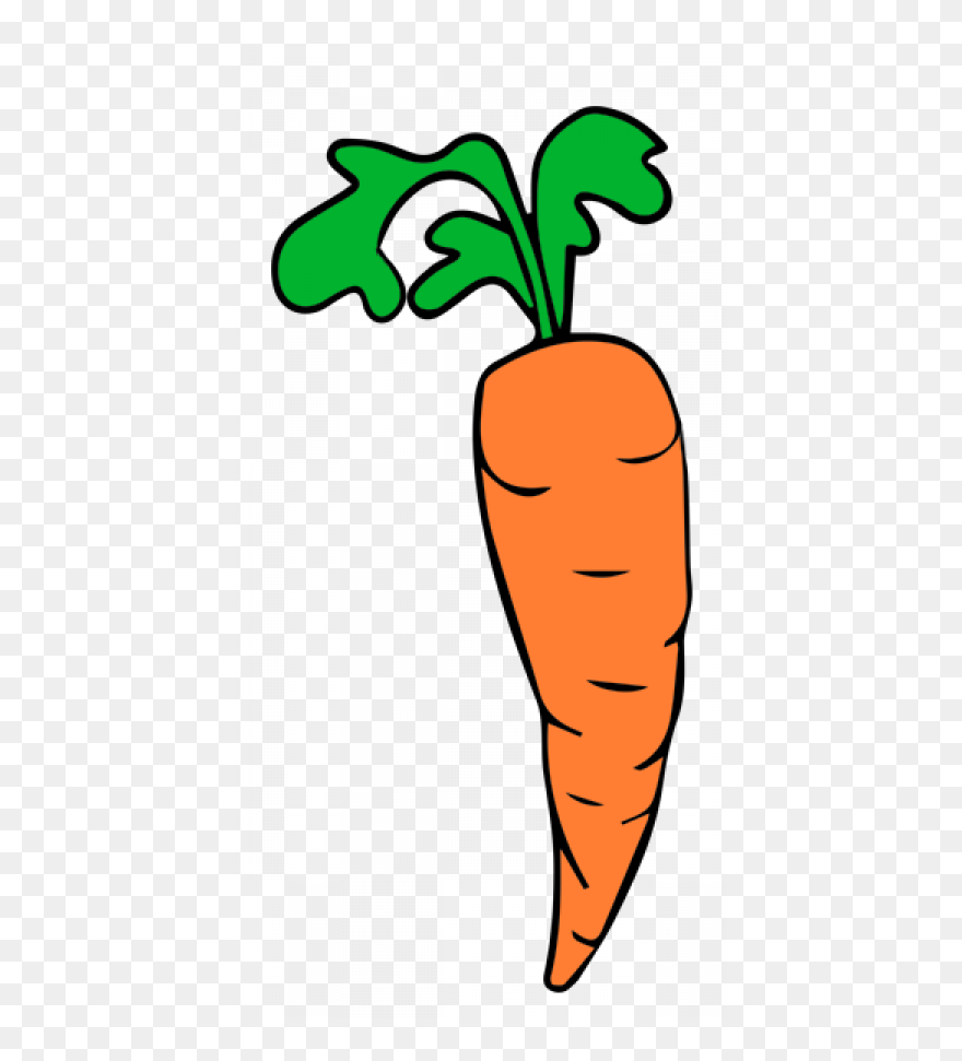 Detail Free Carrot Images Nomer 29