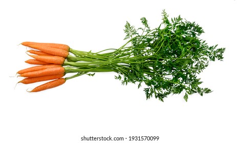 Detail Free Carrot Images Nomer 40