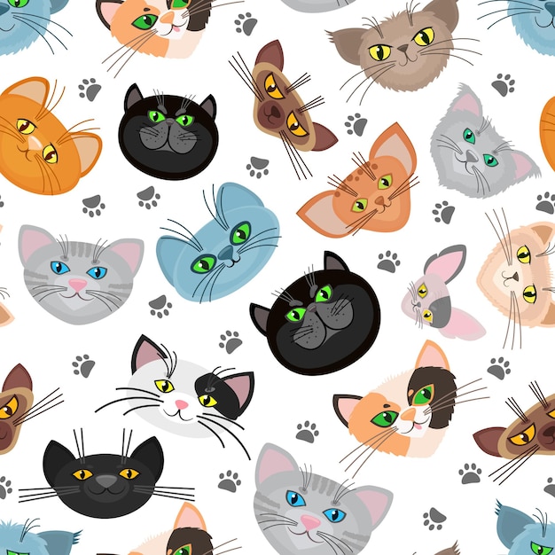 Detail Free Cat Background Nomer 38