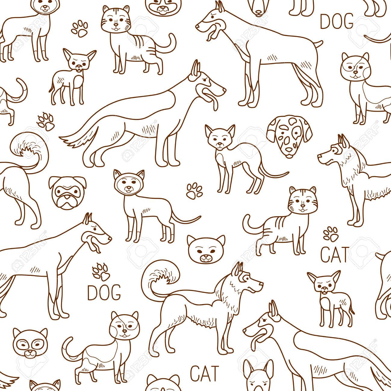Detail Free Cat Background Nomer 52
