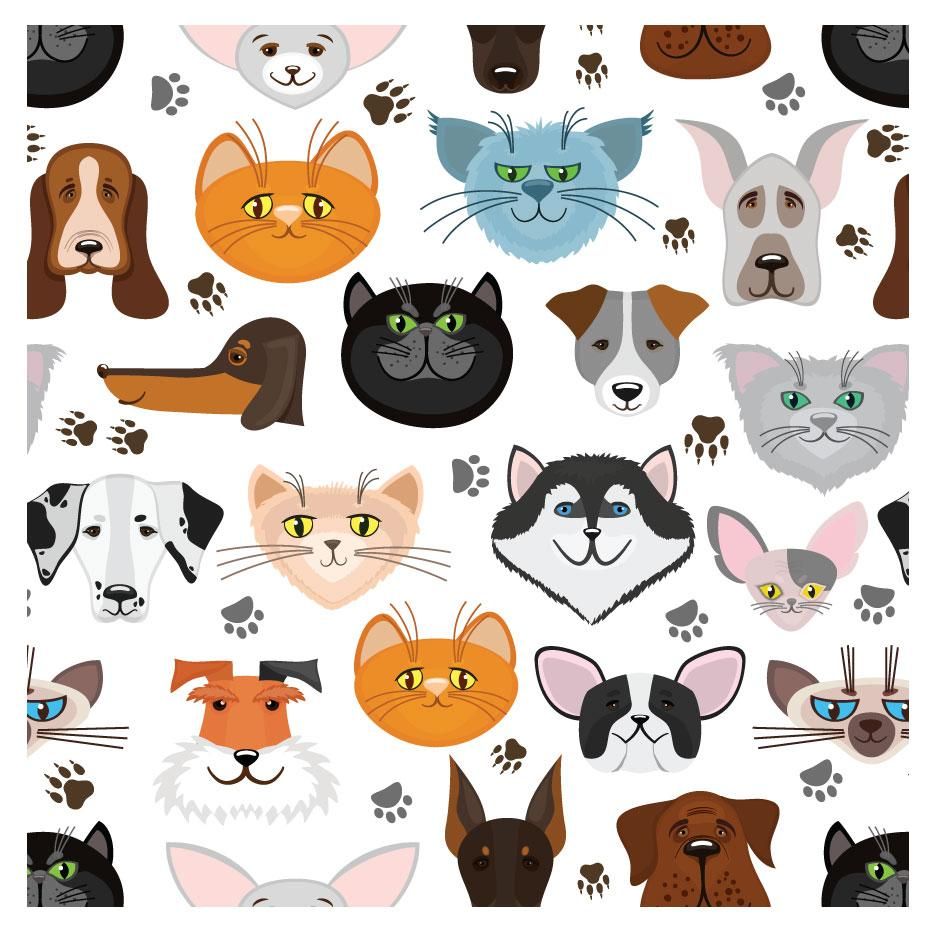 Detail Free Cat Background Nomer 55
