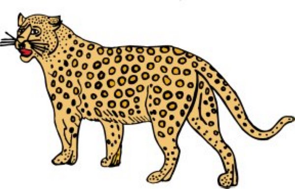 Detail Free Cheetah Clip Art Nomer 9