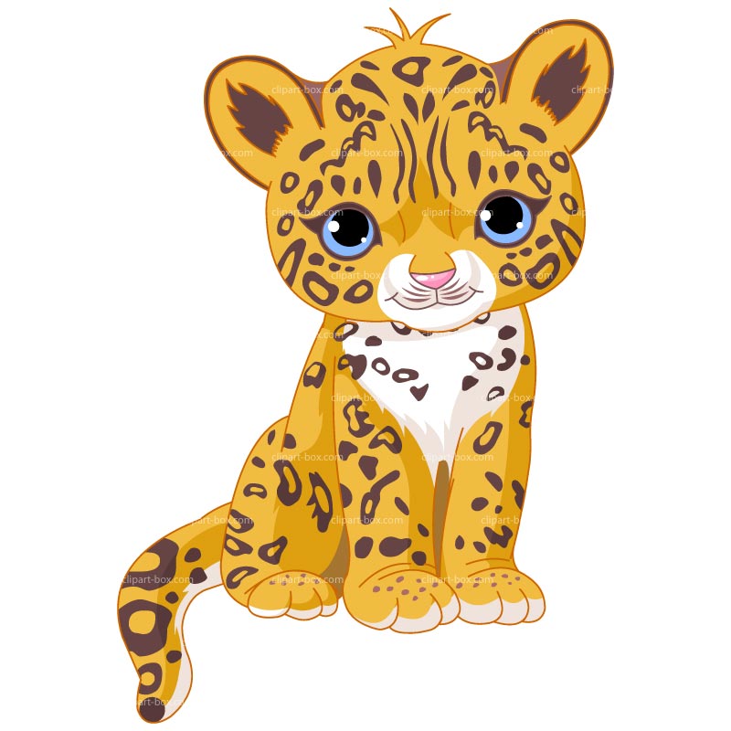 Detail Free Cheetah Clip Art Nomer 10
